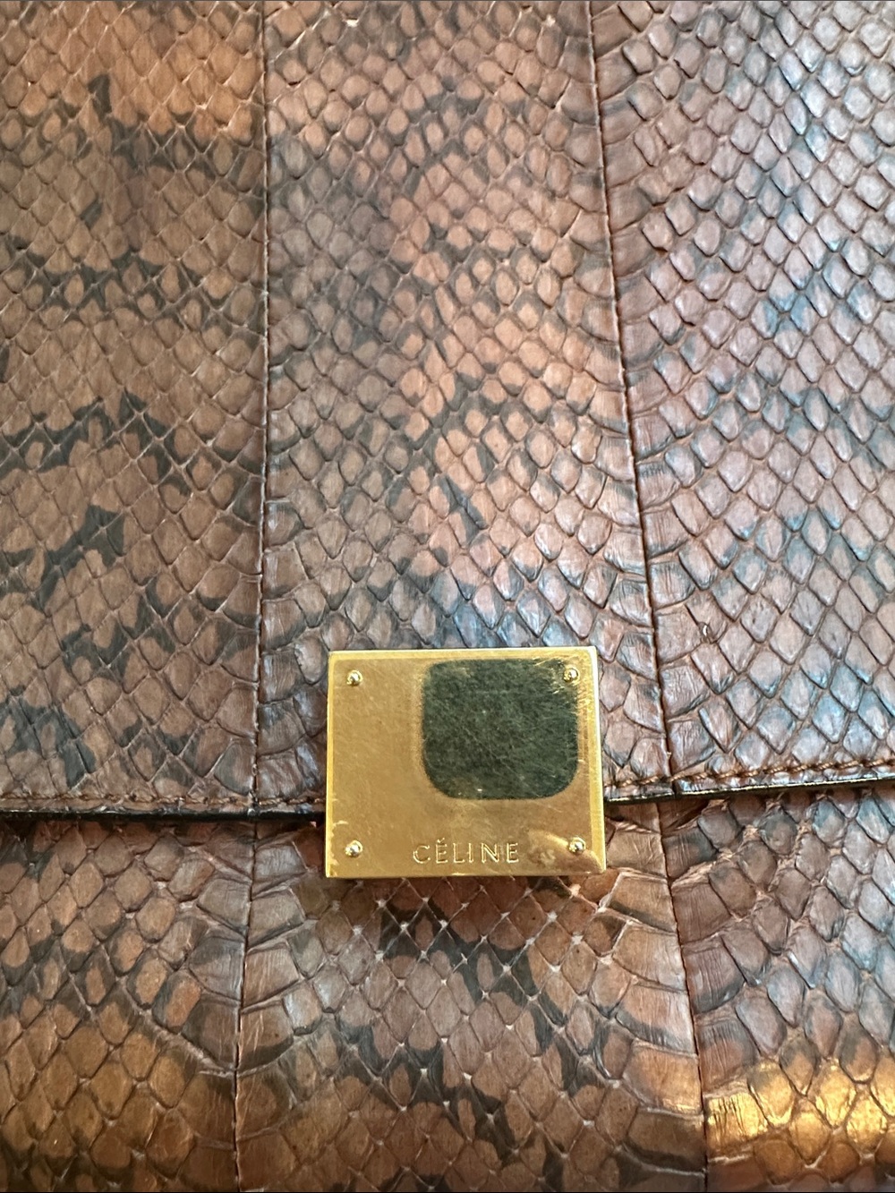 Celine Brown Python Leather Trapeze Bag Brown & Black w/dustbag - Picture 4 of 14